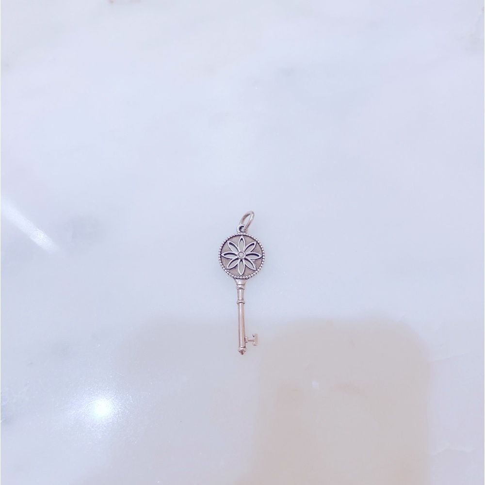 Tiffany & co 925 Silver Large Daisy Key Pendant with Diamond Necklace